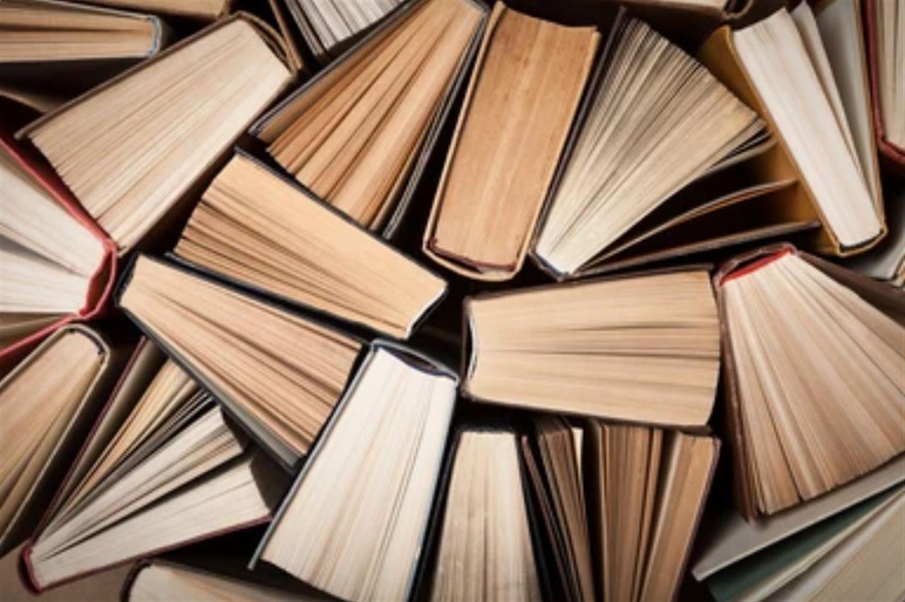 Plusbog: Din Destination for Bogglæde Online