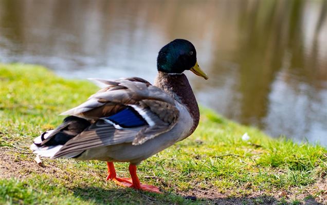 Masser af muligheder i Holstebro